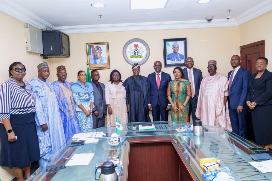 Use Your Expertise To Drive Economic Growth, Edun Tells New NSIA Board Members