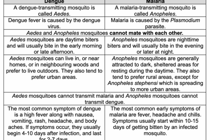 Dengue or Malaria ? How to distinguish mosquito borne diseases