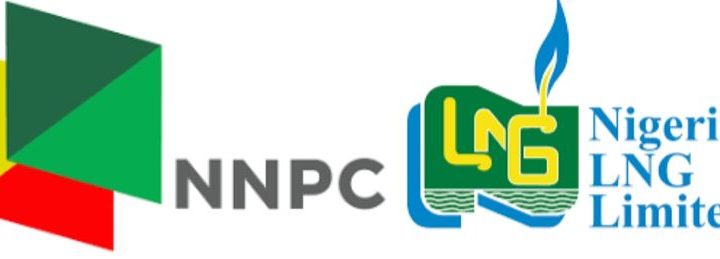 NNPCL Would Be Mini Aramco Today If Set Up Like NLNG – Expert