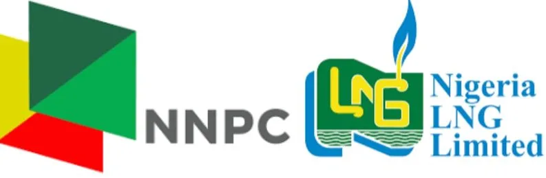 NNPCL Would Be Mini Aramco Today If Set Up Like NLNG – Expert