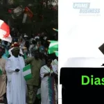 Diaspora Voting And Electoral Reforms in Nigeria