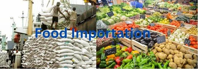 Nigerian Govt Mulls Zero Interim Import Duty On Selected Food Items