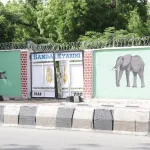 Flood Kills Many Animals In Maiduguri Zoo, Others Escape — Manager