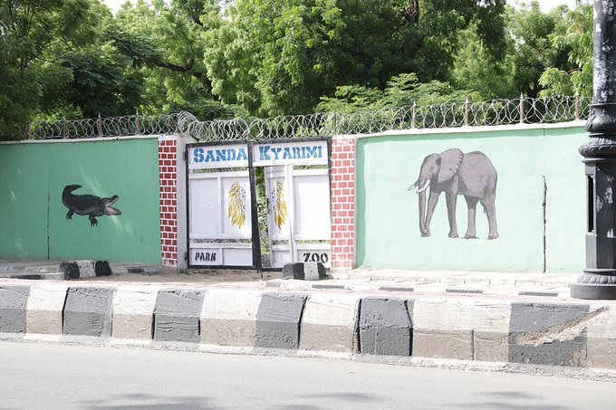 Flood Kills Many Animals In Maiduguri Zoo, Others Escape — Manager