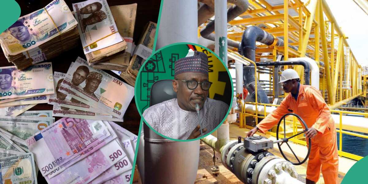 Naira-for-Crude Policy: Bold Economic Reform Or Risky Gamble For Nigeria's Future?