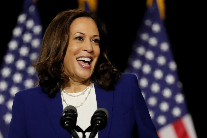 US Election: Kamala Harris Expresses Support For Crypto, Backing Digital Innovation