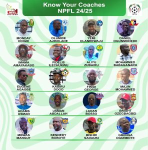 npfl coaches