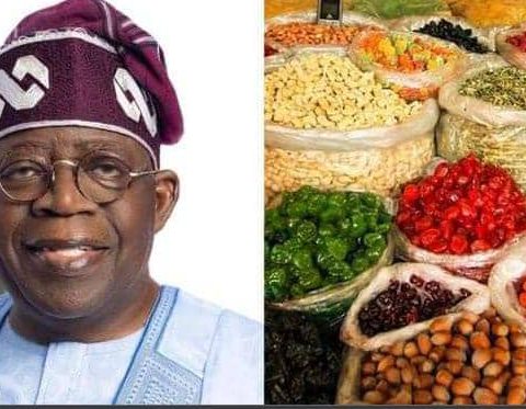 Nigeria's Endless Hunger Games: The Reality Of Tinubu's Reform Era