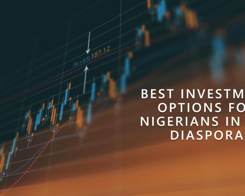 Best Investment Options for Nigerians in the Diaspora