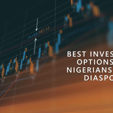 Best Investment Options for Nigerians in the Diaspora