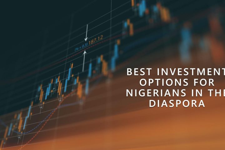 Best Investment Options for Nigerians in the Diaspora