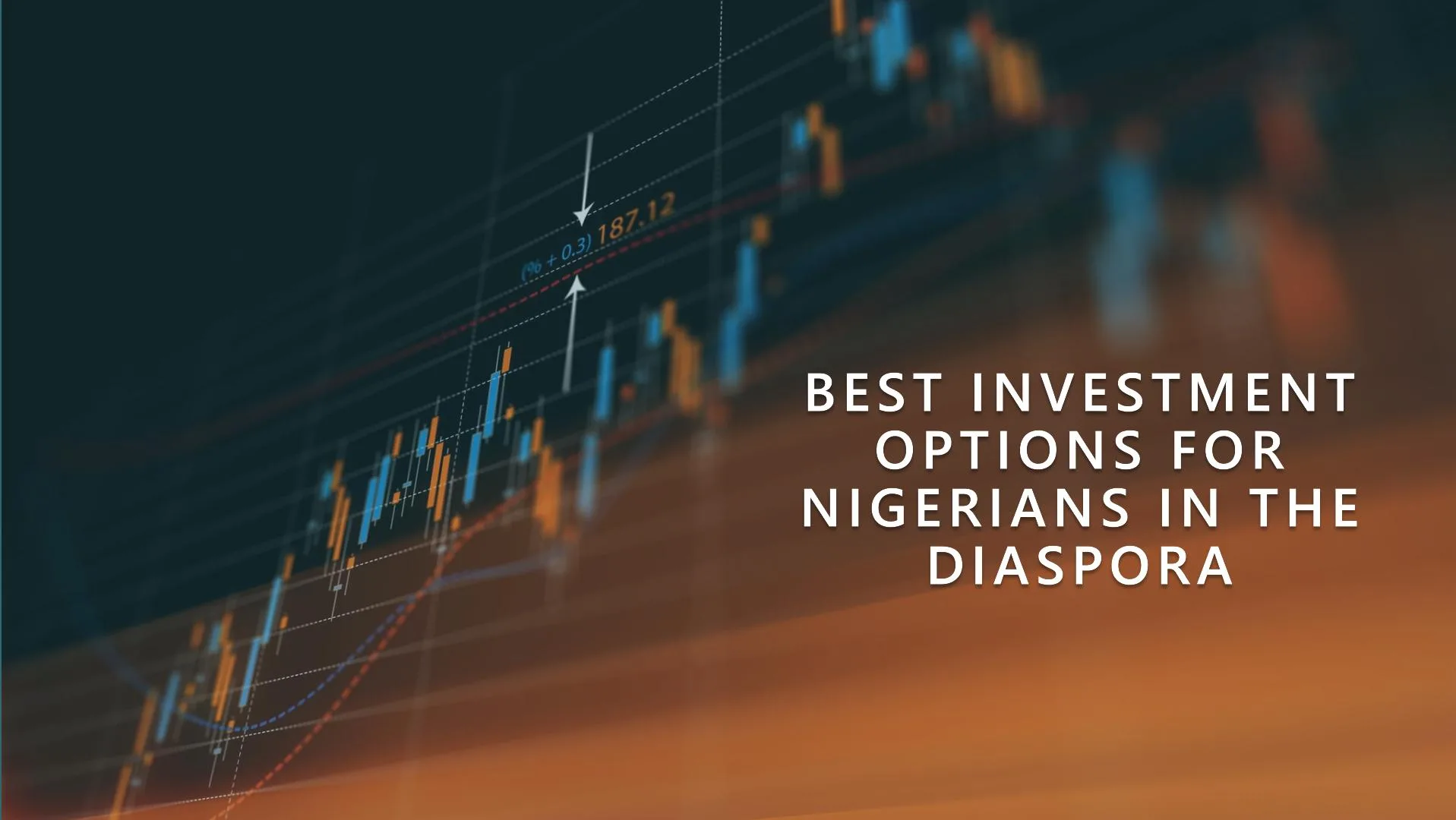 Best Investment Options for Nigerians in the Diaspora