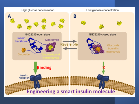 A Smart Insulin Switch For Regulation Of Diabetes