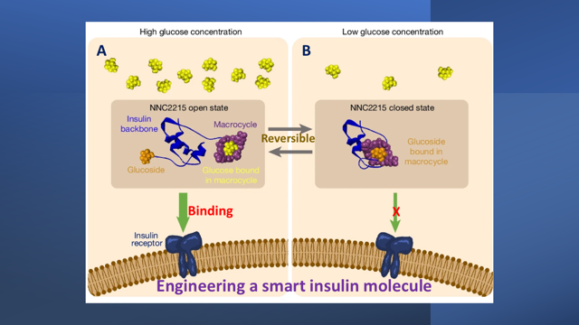 A Smart Insulin Switch For Regulation Of Diabetes