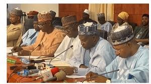 Fresh Hurdle For Tax Reform Bill As Northern Governors Reject Proposal 