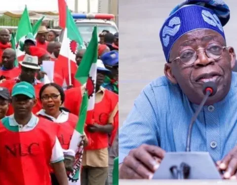 NLC To Tinubu: Reject World Bank's Cruel Advice On Economic Reforms