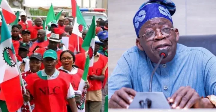 NLC To Tinubu: Reject World Bank's Cruel Advice On Economic Reforms