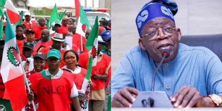 NLC To Tinubu: Reject World Bank's Cruel Advice On Economic Reforms