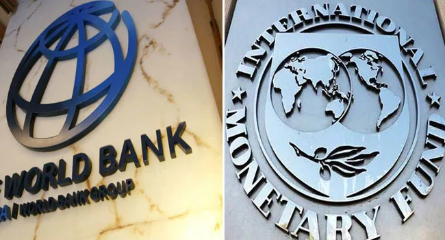 Hook, Line, Sinker: Nigerians Question IMF, World Bank’s Grip On Local Economic Policies