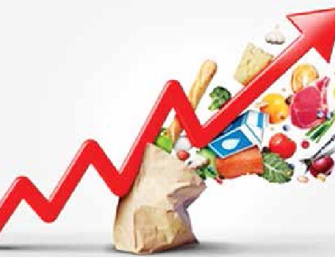 Is CBN's Interest Rate Strategy Worsening Nigeria's Inflation Crisis?