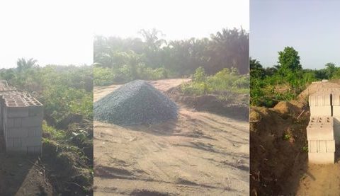 Badagry Monarch Others Destroy Nm Crops In Forceful Takeover Of Farmland ()