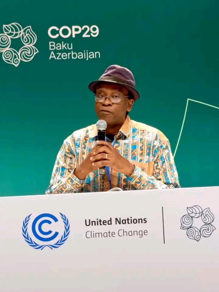 COP29 and Climate Geopolitics 