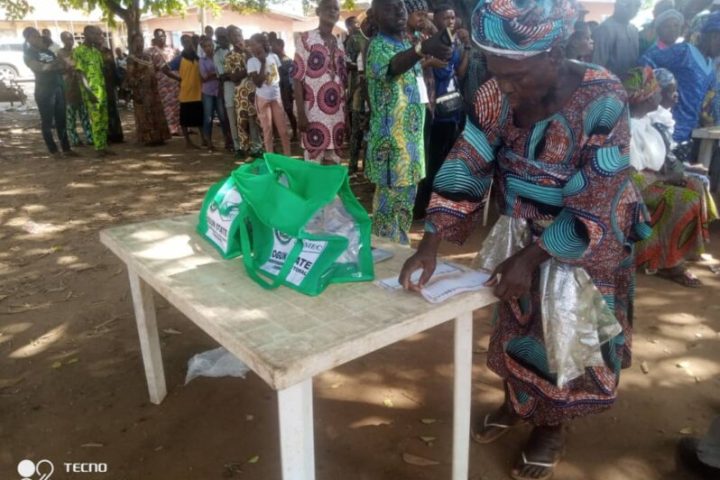 Ogun State Election: APC Declared Winner With 20 LGAs, 236 Wards Amid Controversy