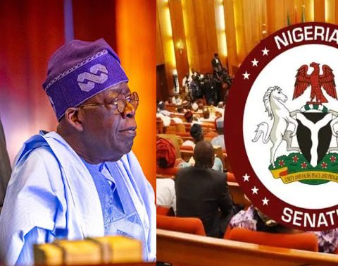 Senate Approves Tinubu’s $2.2bn Loan Request Amid Concerns