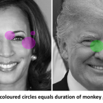 Weird But True US Election was a Monkey Business