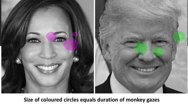 Weird But True US Election was a Monkey Business