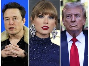 US Election: Elon Musk, Other Billionaires, Celebrities Endorsing Donald Trump