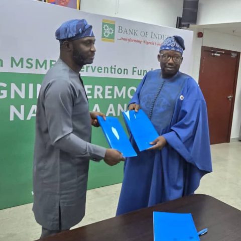 N75bn MSMEs Intervention Fund: Nigeria Govt Targets Agro-processing, Creative Industries, Healthcare, Renewable Energy 