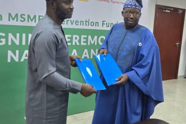 N75bn MSMEs Intervention Fund: Nigeria Govt Targets Agro-processing, Creative Industries, Healthcare, Renewable Energy 