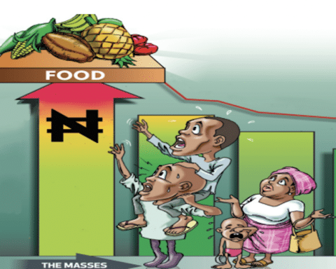 Why Govt Must Intervene On Rising Food Prices- Nigerians Cry Out On the Struggle To Survive