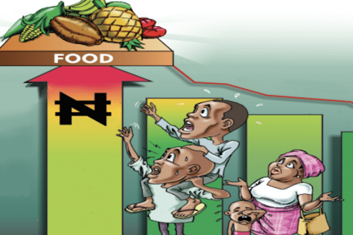 Why Govt Must Intervene On Rising Food Prices- Nigerians Cry Out On the Struggle To Survive