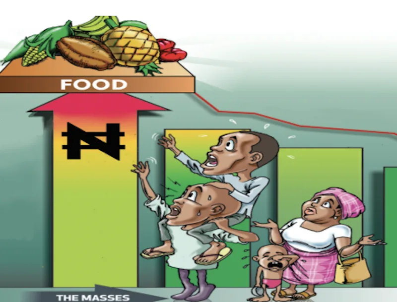 Why Govt Must Intervene On Rising Food Prices- Nigerians Cry Out On the Struggle To Survive