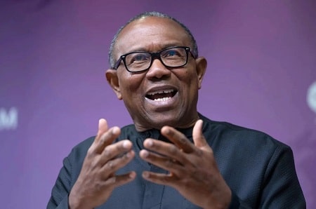 Tax Reform Bills: Peter Obi Advocates Public Hearing, Transparency In Decision-Making