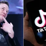 Why Chinese Govt May Sell TikTok To Elon Musk — Report