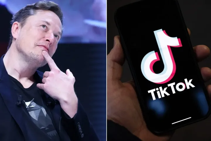 Why Chinese Govt May Sell TikTok To Elon Musk — Report