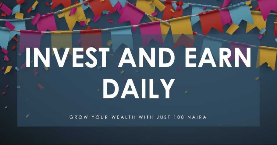 How to Invest Naira and Earn Daily in Nigeria