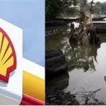 Niger Delta's Toxic Legacy: Can Shell Be Held Accountable for Human Rights Abuses?