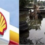 Niger Delta’s Toxic Legacy: Can Shell Be Held Accountable for Human Rights Abuses?