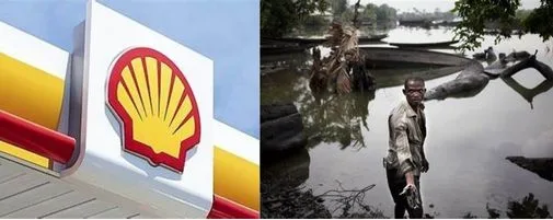 Niger Delta's Toxic Legacy: Can Shell Be Held Accountable for Human Rights Abuses?