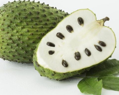 Discover The Hidden Gem of Custard Apples (Soursop): Why You Should Grow Them In Your Garden