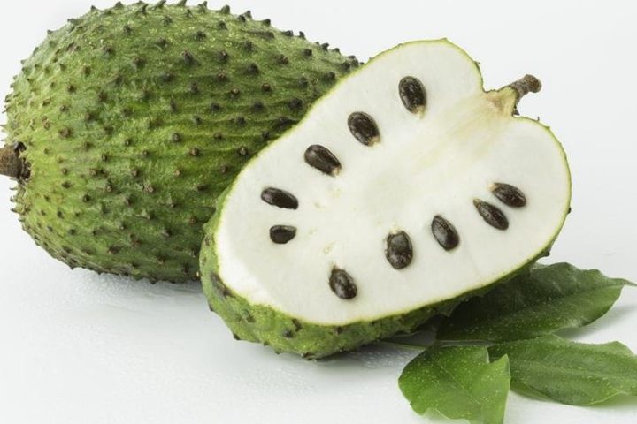 Discover The Hidden Gem of Custard Apples (Soursop): Why You Should Grow Them In Your Garden