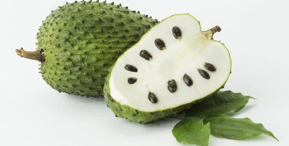 Discover The Hidden Gem of Custard Apples (Soursop): Why You Should Grow Them In Your Garden