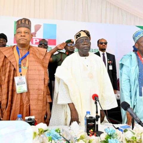 Tinubu Pledges To Work Harder As APC Passes Vote Of confidence 