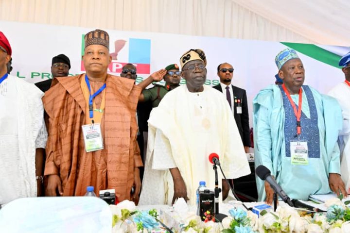 Tinubu Pledges To Work Harder As APC Passes Vote Of confidence 