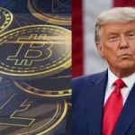 Crypto Market Surges As President Trump Pauses Tariffs On Canada, Mexico