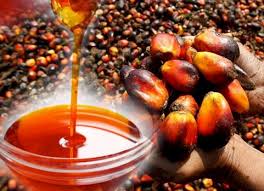 Steps To Successfully Export Palm Oil In 2025 